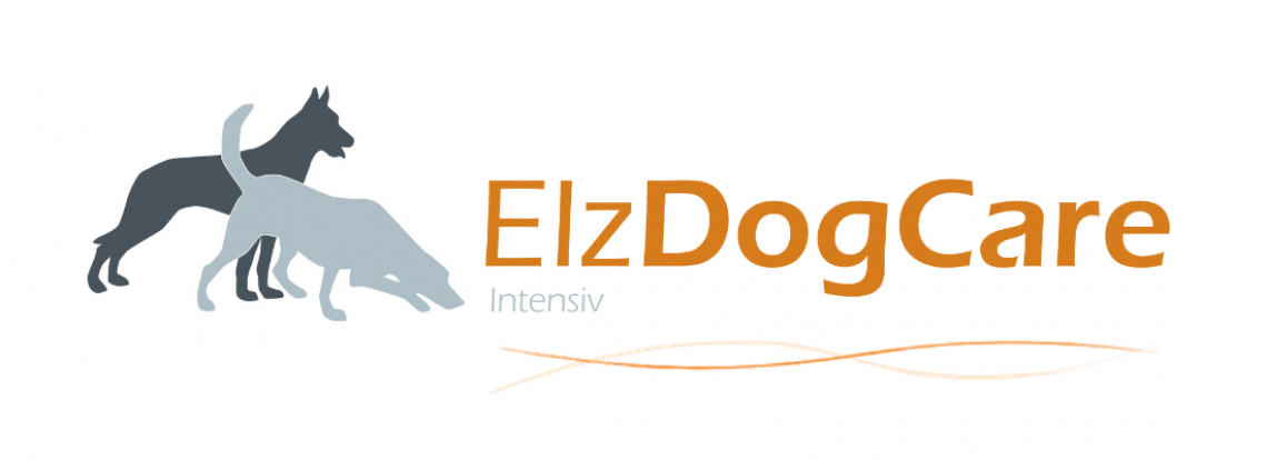 Webinare, Workshops, Seminare und Trainingstreff - Spürhund