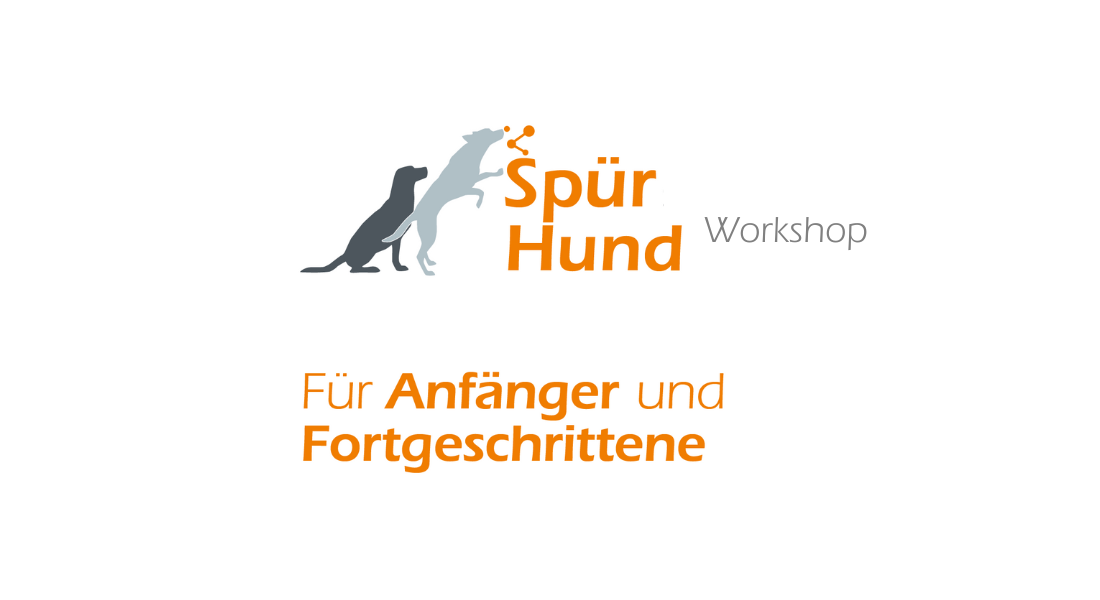 Workshop: Spürhund - für Anfänger und Fortgeschrittene